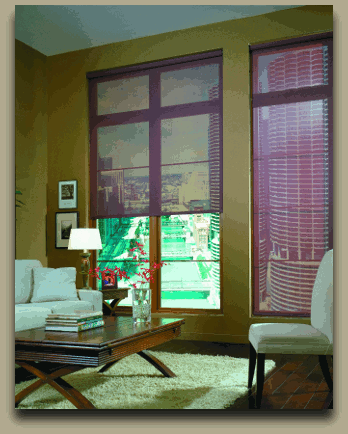 Shutters2blinds, Blind Side, Blinds, Shades, Plantation Shutters, Window Treatments, Window Coverings in Bluffton SC, Hilton Head and Lowcountry. Frank Blinds Shutters Repairs Bluffton, SC